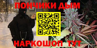 прущие грибы Сланцы