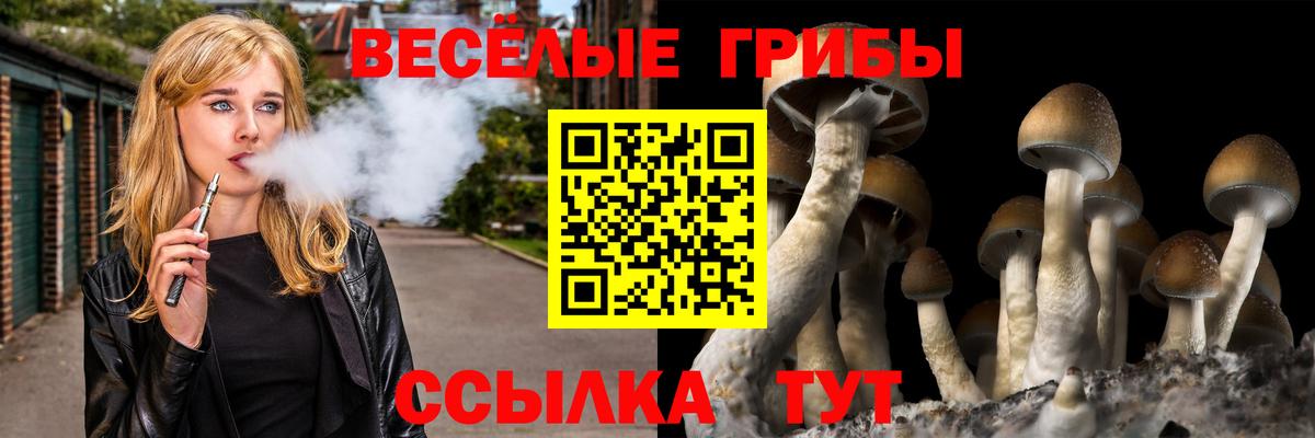 Галлюциногенные грибы мицелий  Вход с VPN  Пугачёв 